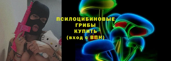 соль ск Лагань