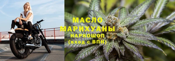 шишки Магас