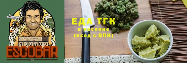 шишки Магас