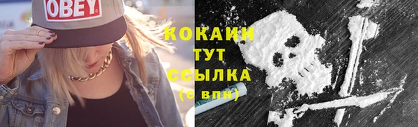 шишки Магас