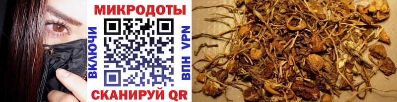 мега рабочий сайт  Качканар  Галлюциногенные грибы Cubensis 