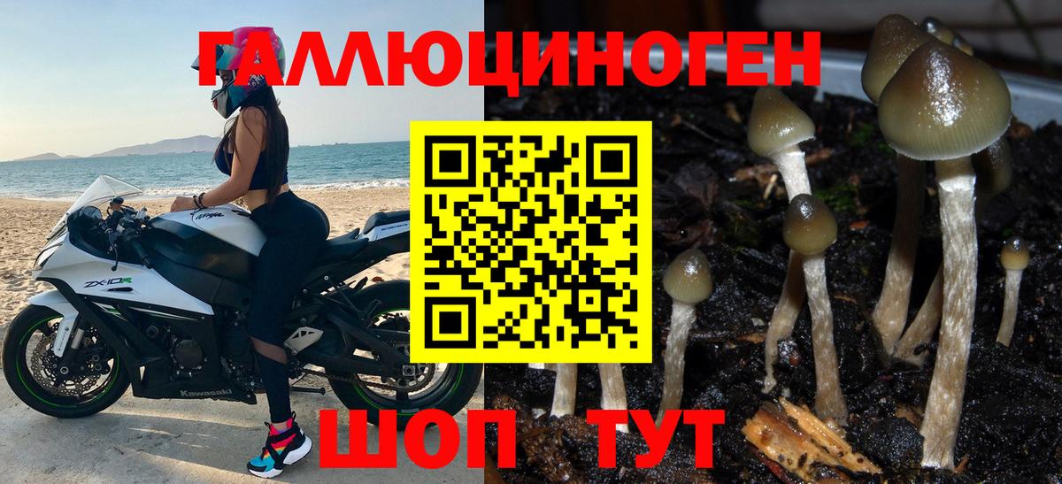 Псилоцибиновые грибы Cubensis  Вход с VPN  Качканар  Галлюциногенные грибы мицелий 