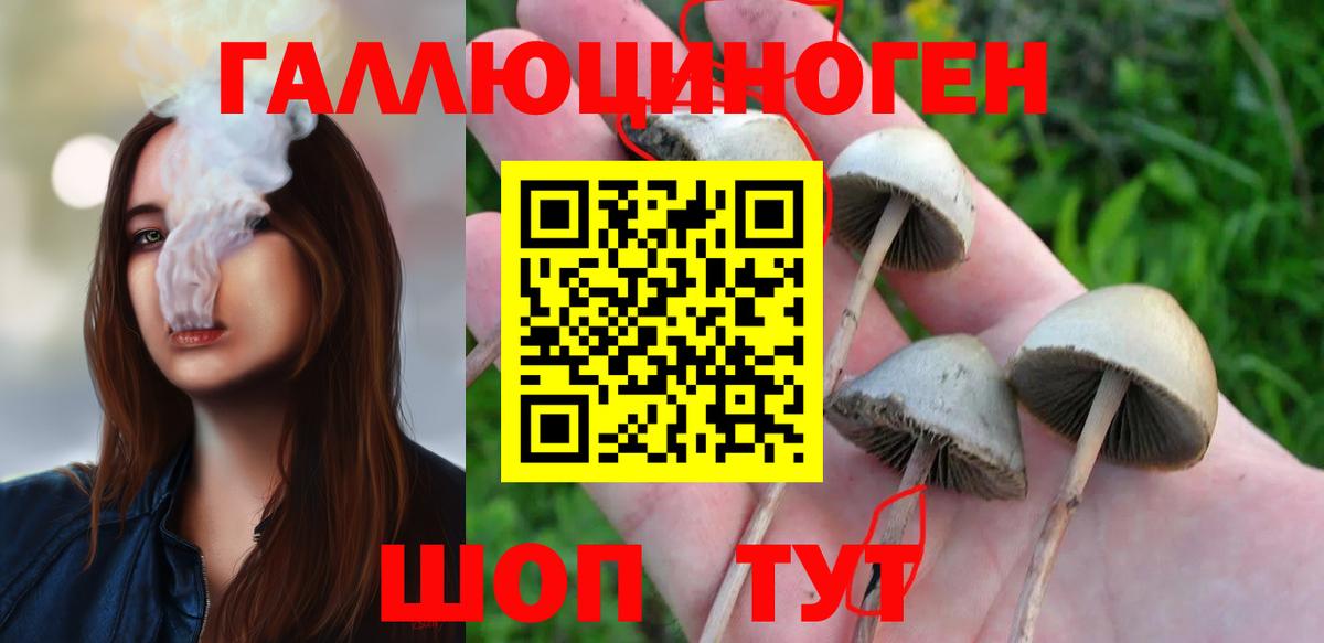 Псилоцибиновые грибы мицелий Качканар